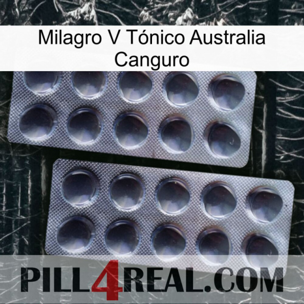 Milagro V Tónico Australia Canguro 31.jpg